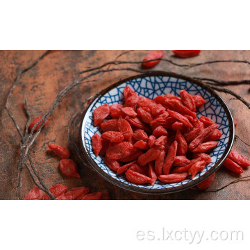 bayas de goji secas